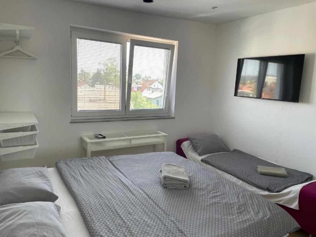 R41 - Tivoli Groundfloor Apartment Любляна Экстерьер фото
