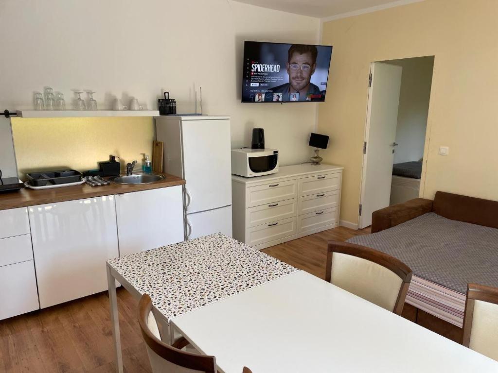 R41 - Tivoli Groundfloor Apartment Любляна Экстерьер фото